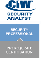 Security Analyst